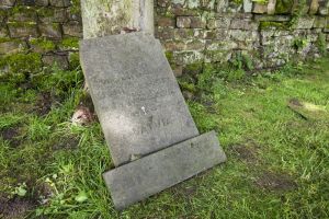 High Royds Memorial Garden Open Day - July 7, 2012